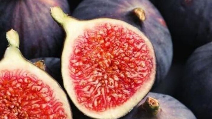 धूमिल हो रही बेड़ू की पहचान