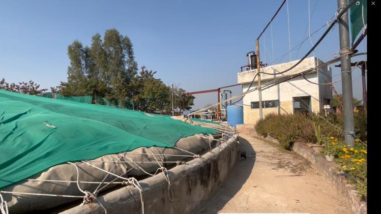35 टन 'गोबर' से रोशन होती है मथुरा की गौशाला, गायों के किचिन को भी मिलती है एनर्जी  