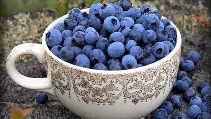 विदेशी फलों की बढ़ रही मांग