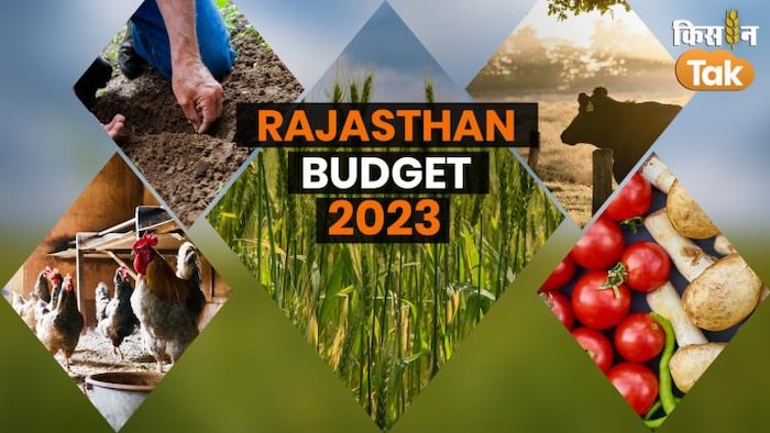 राजस्थान बजट 2023