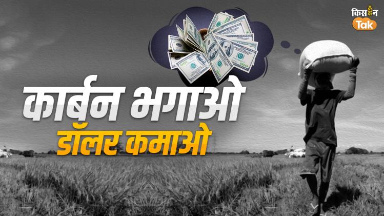 किसानों को कैसे मिल सकता है कार्बन क्रेडिट का फायदा?