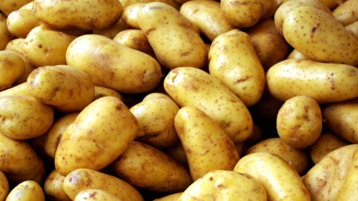 चिप्स के लिए ख़ास है यह आलू