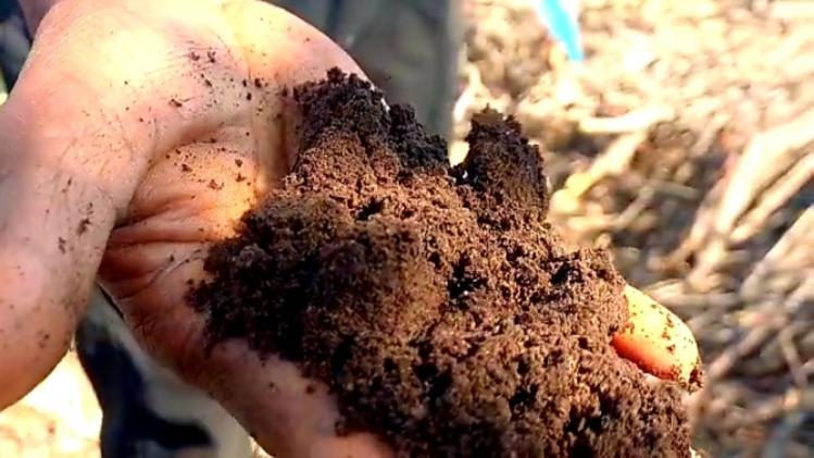 पंजाब में देश का पहला बायो-फर्टिलाइजर लैब शुरू, किसानों को अब सस्ते में मिलेगी खाद