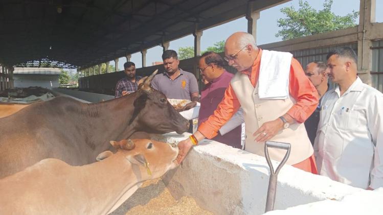 यूपी सरकार के पशुधन मंत्री धर्मपाल सिंह गाय काे गुड़ रोटी खिलाकर आशीर्वाद लेते हुए