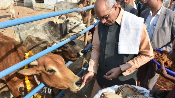यूपी के पशुधन मंत्री धर्मपाल सिंह ने गाय का पूजन कर मनाया 'काऊ लव डे'
