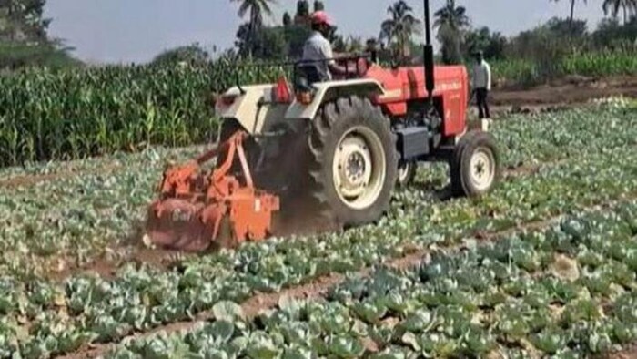 गुस्से में किसान ने फसलों पीआर चलाया ट्रैक्टर.