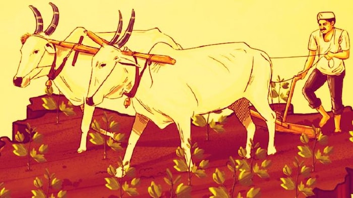 किसानों की आय दोगुनी करने की चुनौती (Photo-Ministry of Agriculture).