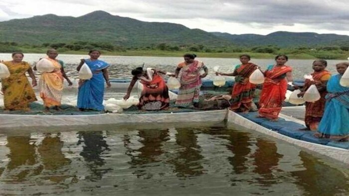 मछली तालाब का प्रतीकात्मक फोटो.