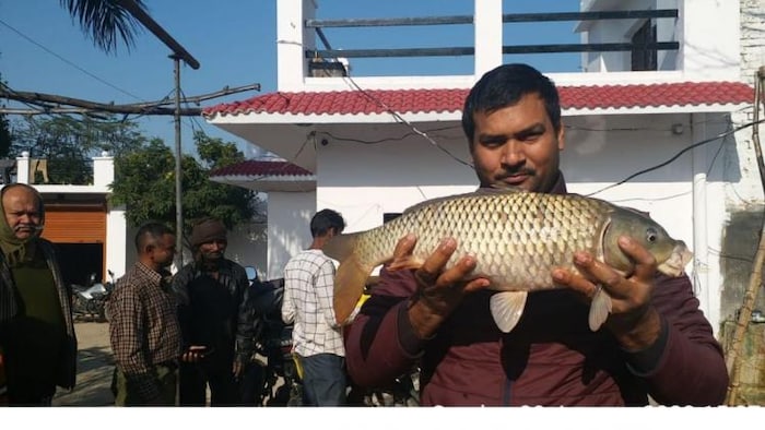 मछली पालन के लिए यूपी सरकार ने अनुदान देने वाली योजना काे 4 साल के लिए बढ़ाया