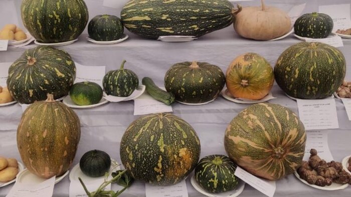 किसान मेले में सजेगी फल फूल एवं शाक भाजी और कृषि यंत्रों की महफिल