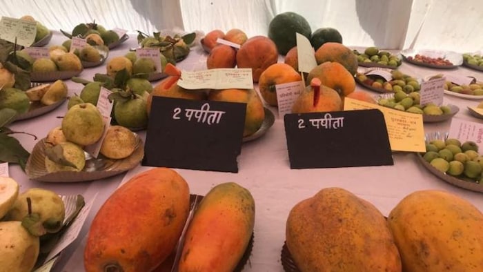 बुंदेलखंड में फलों की खेती कर रहे किसानों की उपज पेश की गई किसान मेले में