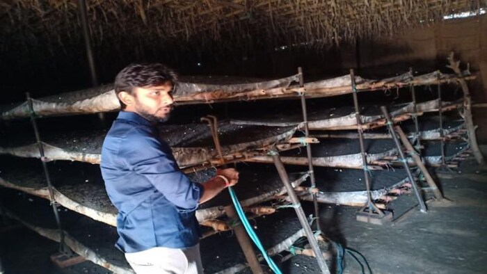 मशरूम की खेती करने वाले डॉ. विकास कुमार