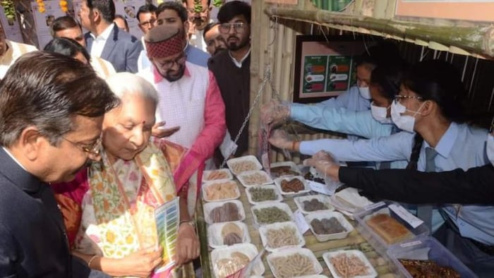 झांसी में बुंदेलखंड विश्वविद्यालय के शिक्षकों और छात्रों ने शुरू की 'मिलेट्स हट'