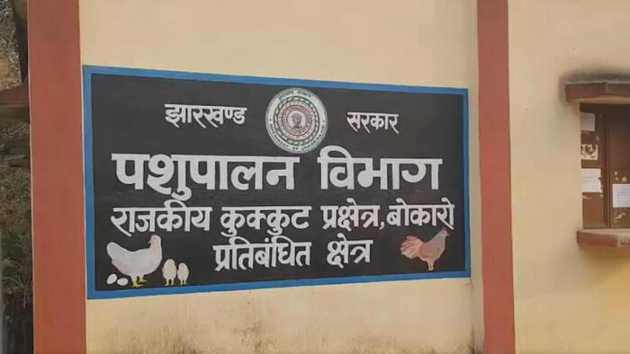 बोकारो में सरकारी पोल्ट्री फार्म में बर्ड फ्लू की पुष्टि हुई है