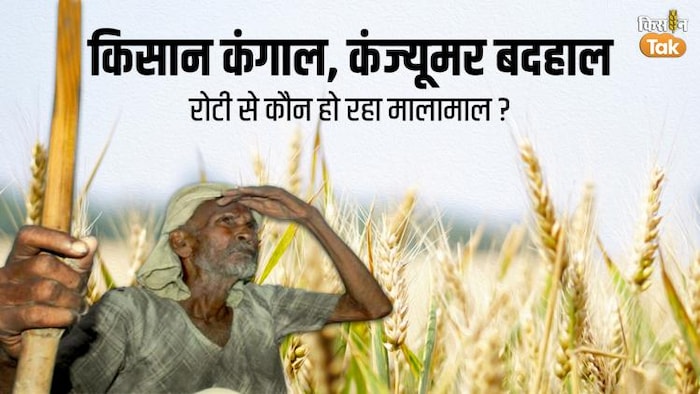 गेहूं के गणित में उलझे किसान, कौन काट रहा है चांदी? फोटो क्रेडिट (GFX)- संदीप भारद्वाज