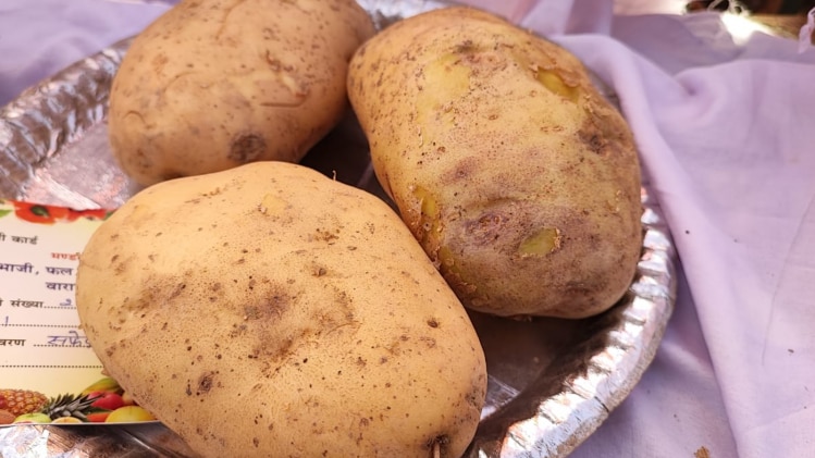 कुफरी आनंद की महाबली