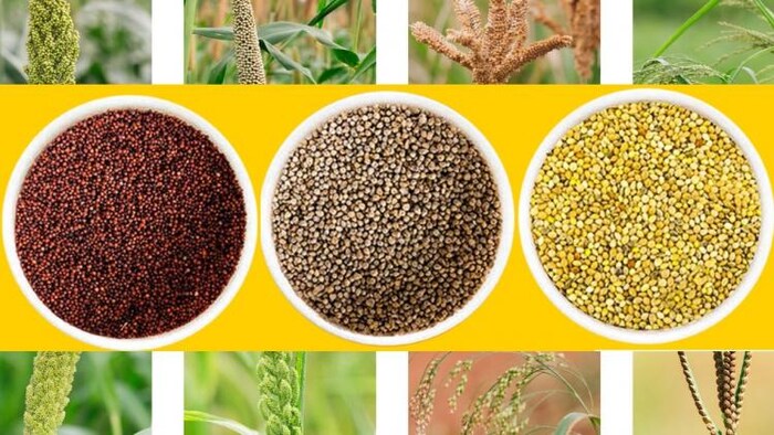 मोटे अनाजों के प्रति बढ़ेगी दिलचस्पी (Photo-Kisan Tak) .