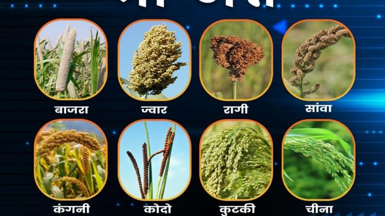 मिलेट्स के उत्पादन और उपभोग को बढ़ावा देने के लिए यूपी सरकार ने शुरू की खास मुहिम