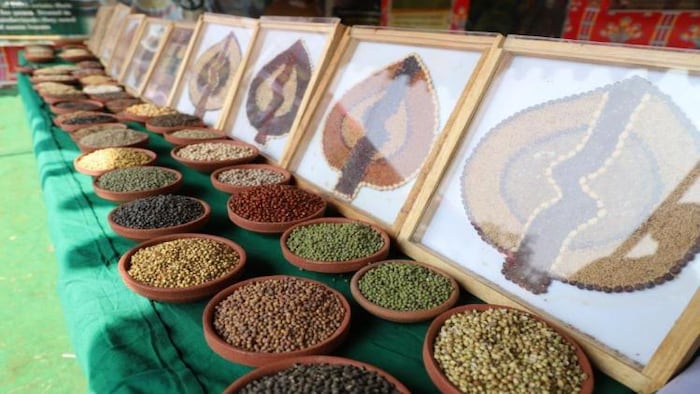 मिलेट्स उत्पादन को बढ़ावा