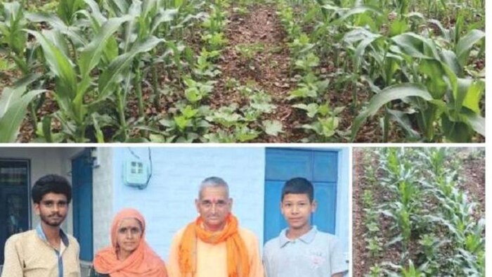 प्राकृतिक खेती से हिमाचल प्रदेश के किसान की बदली तकदीर