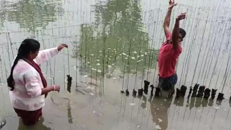 मोती की खेती कर बनी सफल किसान