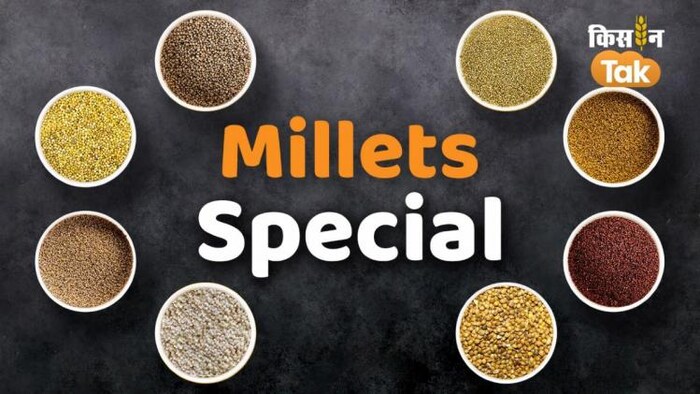 मिलेट से बने हेल्थ मिक्स पर सरकार घटाएगी जीएसटी रेट