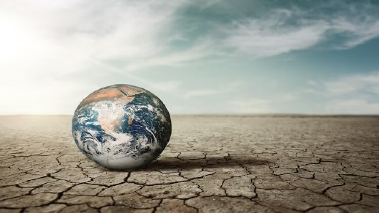 दलहनी फसलों की खेती कर जलवायु परिवर्तन से निपटा जा सकेगा, फोटो:freepik