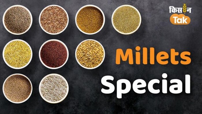 मोटे अनाजाें का उत्पादन बढ़ाने के लिए यूपी सरकार काम कर रही है