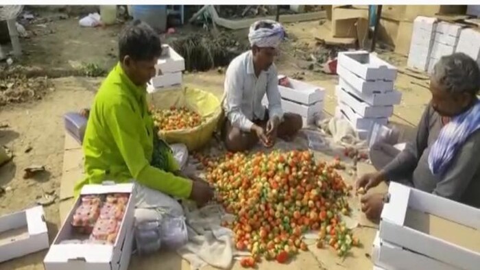 बिहार के नालंदा में स्ट्रॉबेरी की खेती