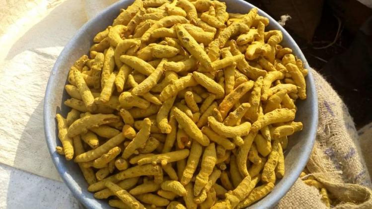 हल्दी के भाव में भारी ग‍िरावट, परेशान हैं क‍िसान...जान‍िए प‍िछले साल क‍ितना था दाम