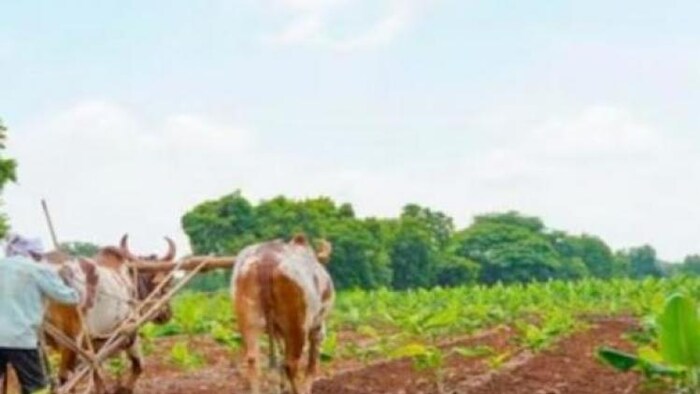 राजस्थान बजट 2023-24