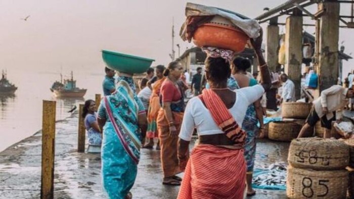 सीहोर में महिलाओं ने शुरू किया मछली उत्पादन, (सांकेतिक तस्वीर pinterest)