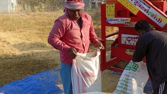 बंपर धान उत्पादन के बावजूद निराश है ओडिशा के किसान फोटोः किसान तक