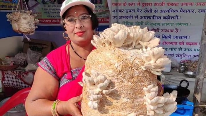 मशरूम मैडम मीना कुशवाहा