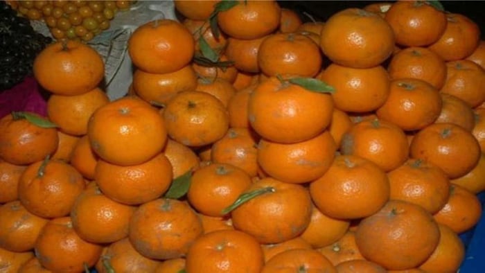 श्रीगंगानगर में होती है सबसे अधिक किन्नू की खेती. फोटो साभार- आजतक