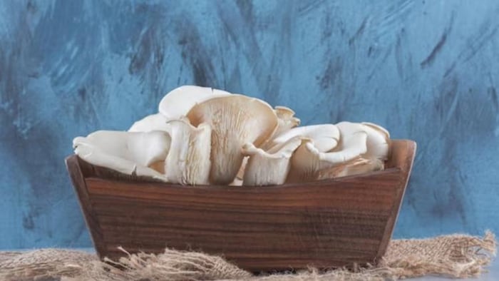 आयस्टर मशरूम की खेती से किसानों को होगा बेहतर मुनाफा, फोटो साभार: freepik