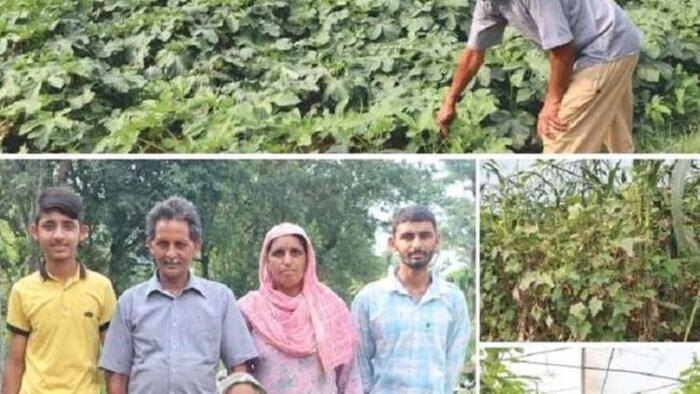 हिमाचल के किसान ने नेचुरल फार्मिंग को बनाया रोजगार