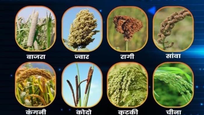 मोटे अनाज को बढ़ावा देने के लिए मिलेट्स मिशन का ड्राफ्ट तैयार