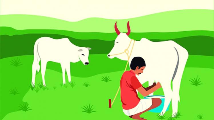 Agriculture Loan: बजट 2023 में सरकार ने किसानों के लिए खोला पिटारा Agriculture Loan: बजट 2023 में सरकार ने किसानों के लिए खोला पिटारा