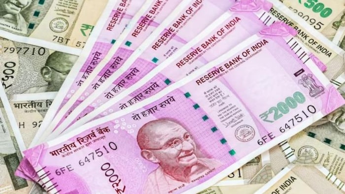 53 हजार फर्जी किसानों ने डकार ली 43 करोड़ की राशि, फोटो साभार: freepik