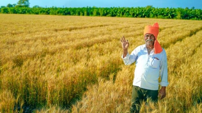 गेहूं और सरसों बेचने के लिए हरियाणा के किसान कर सकते हैं, फोटो साभार: freepik