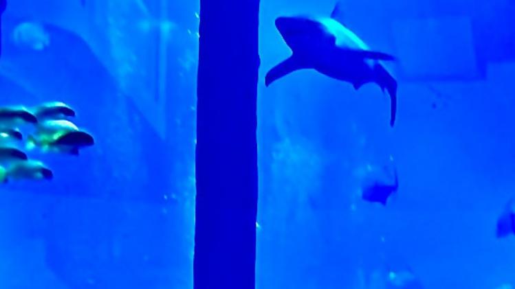 मत्स्य पालन के क्षेत्र में जलवायु परिवर्तन का असर फोटोः किसान तक