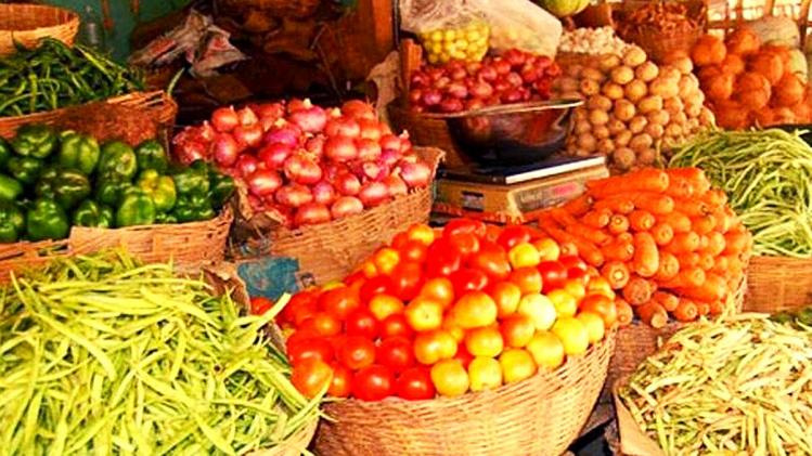 हरियाणा: सब्जी एक्सपो में हजारों किसानों ने लिया हिस्सा, किसान सतीश बलूनी को मिला ‘सब्जी रत्न अवार्ड’