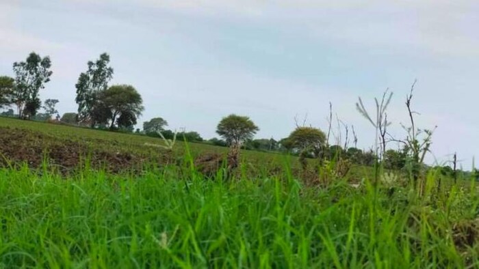 आज सामान्य से अधिक तापमान होने की संभावना