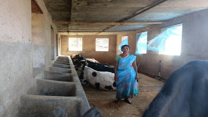 अपने गौशाला में खड़ी सोनिया देवी फोटोः किसान तक