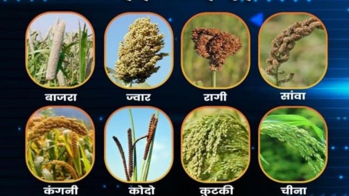 अंतरराष्ट्रीय मोटे अनाज वर्ष-2023 के उपलक्ष्य में प्रशिक्षण कार्यक्रम का आयोजित