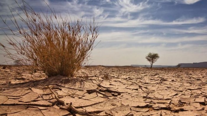 जल्द दिखने लगेगा जलवायु परिवर्तन का प्रभाव