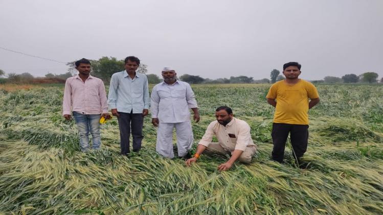 महाराष्ट्र के पांच जिलों में भारी बारिश, फसली नुकसान के बाद CM ने दिए सर्वे के निर्देश