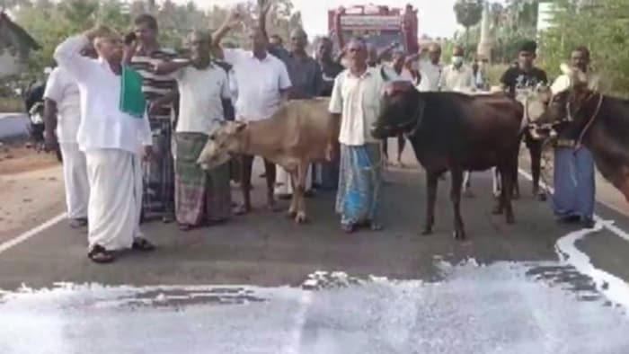 इरोड में डेयरी किसानों का विरोध प्रदर्शन (साभार-ANI)