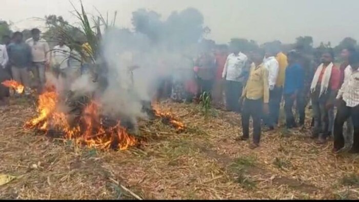 प्याज जलाते हुए किसान